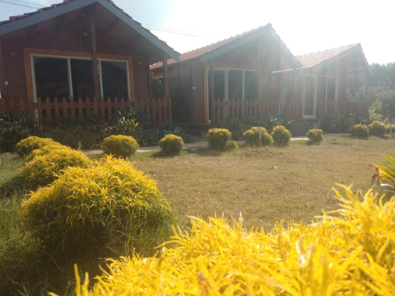 Hostel Trippr Chikkamagaluru Chikmagalūr Exterior foto